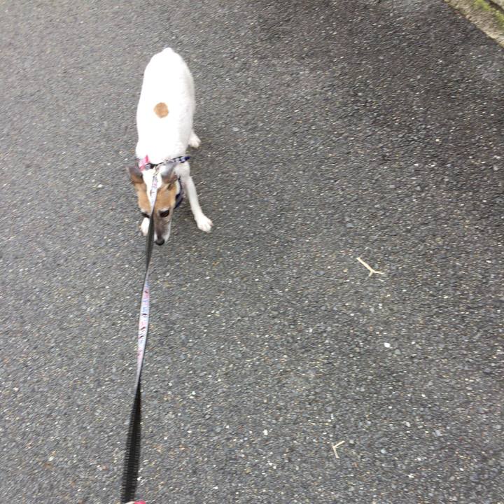 0960cc3e c78d 4448 8fb5 aa40125f289e