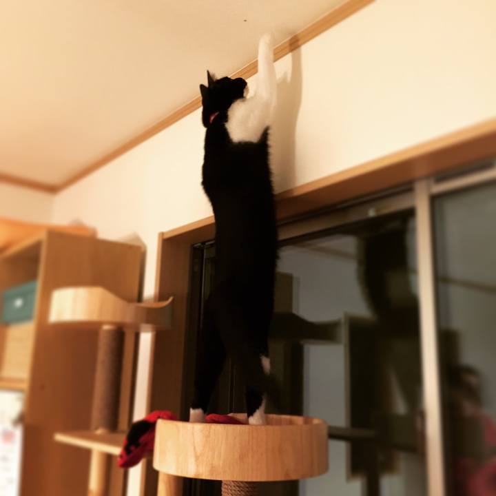 0960eb20 bcca 425b 8423 0309f8aa3657