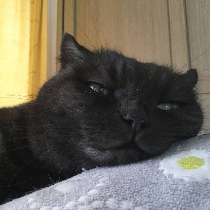 09618371 2c37 4f19 921e 19447aaab961