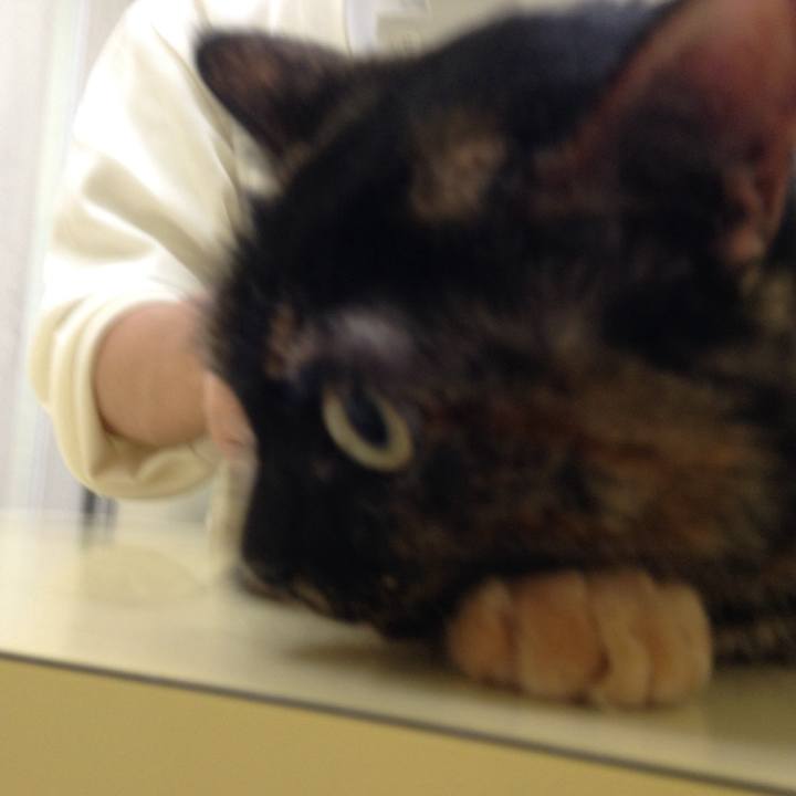 09623fba d2cb 4d33 b8c5 aa28c4a1c705