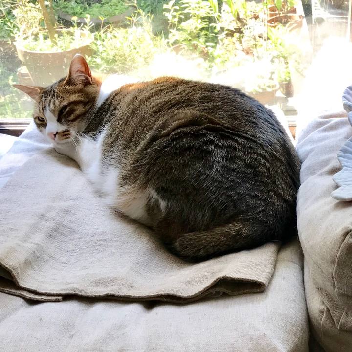 09637a96 8e48 4ca6 93ae 7b06204ac7c1