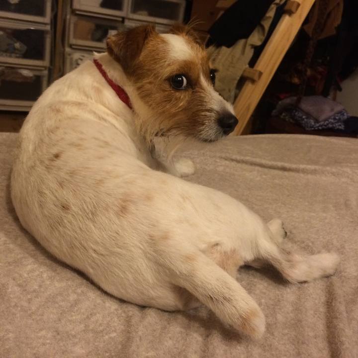 096380db 75a5 4fd9 8cb6 47b4ae0459a4