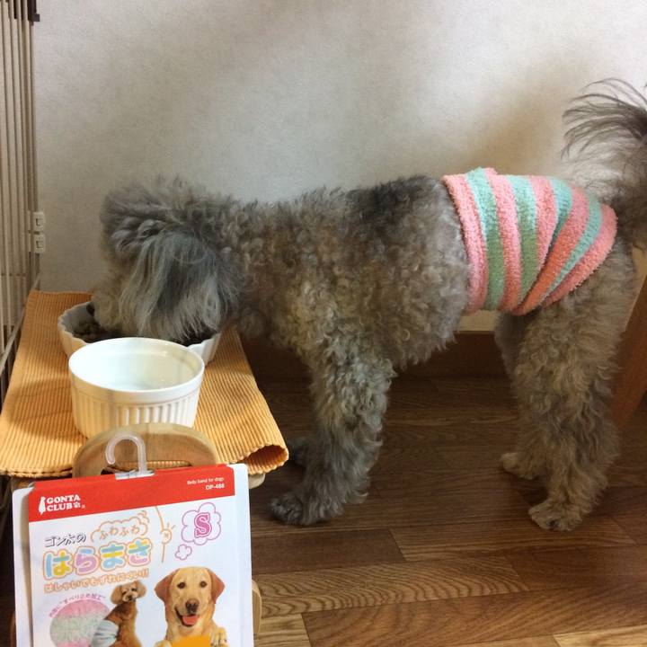 09638e3d c070 4374 a4e5 ca92d3de2ff5