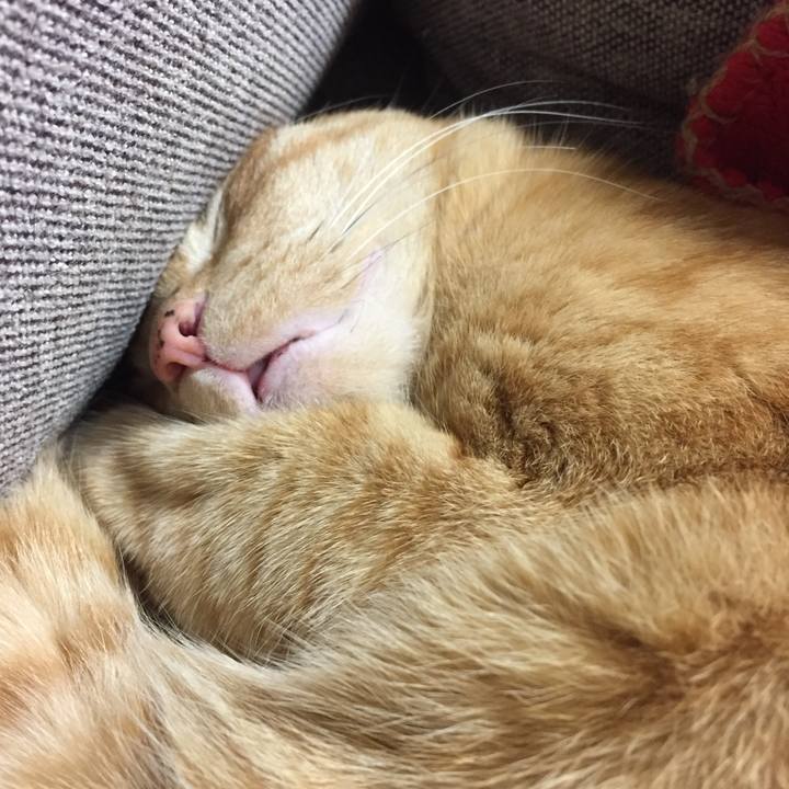 0963b18e e9fe 4b7a a05b b61582cb4c61