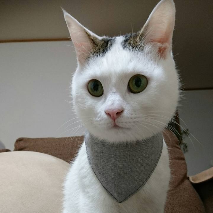 09640f7c 7f95 4ee0 b1a0 ce3dcddf1d2e