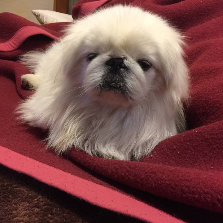 0964a551 65f4 4895 82b7 e4d6bf5c425a