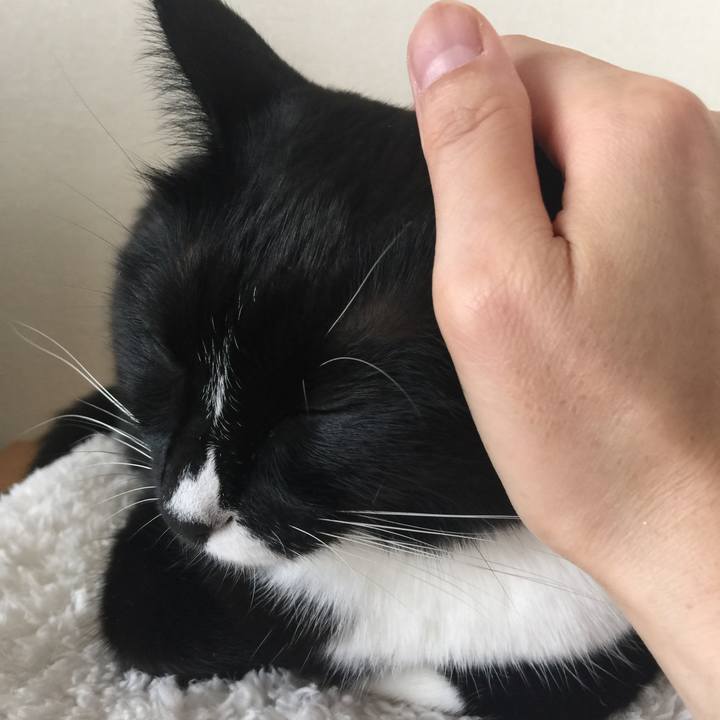 0964d87c bb82 45eb a5ef 0d2db55c91bf