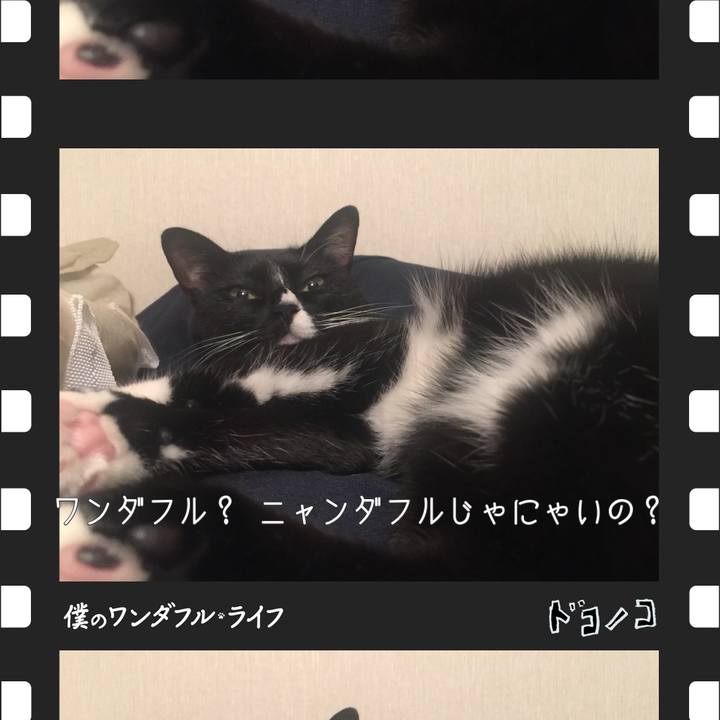 0964f5a1 ebb6 46c9 9cbc 818e5167d708