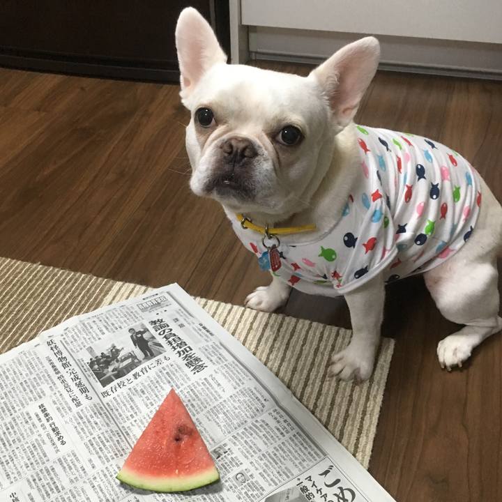 096548aa defd 4908 b144 aa0765d15be9