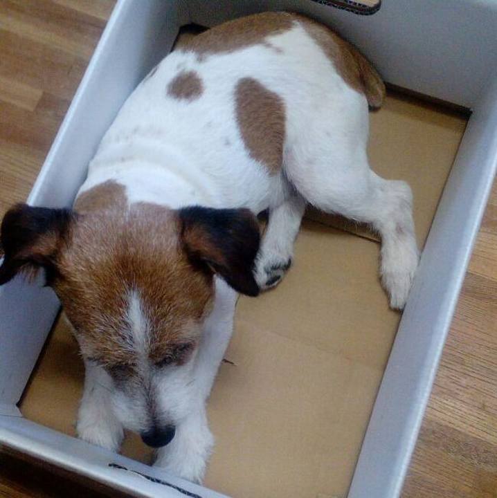 09656424 a988 461b 82a2 1afe606f51a4