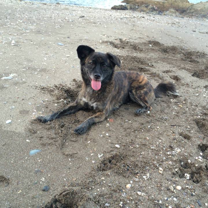 0965d6fc 6074 48e9 801a e9e5413e3271