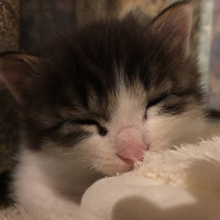 0966a533 94f3 4afa 997c 5a49ea642874