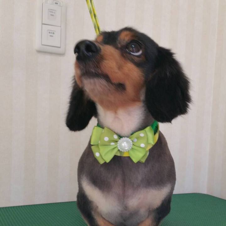 0966ce7a a9c0 4d05 ab5e 20a6141ae116