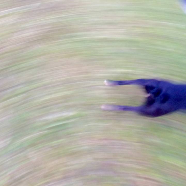 0966e72b 37fe 4529 a384 e202330211e7