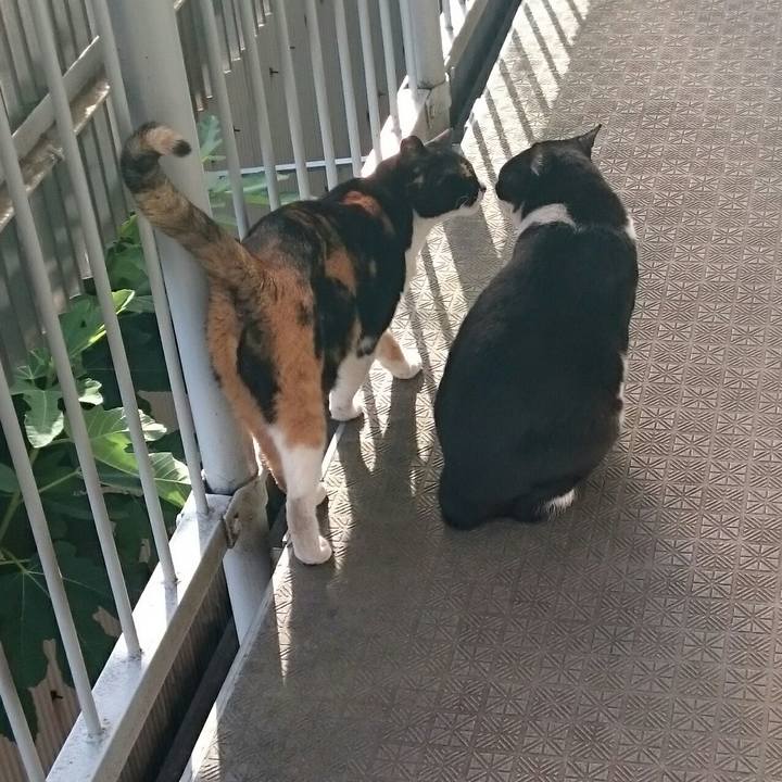 096773bd 3082 43cc abcb fa2e5924f896