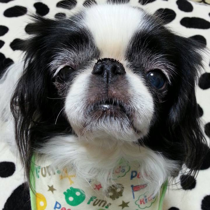 0967ba6f 1cd1 465b 8692 343d9bd4175c