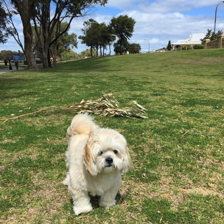 0967bccc 4ed4 4f5e b7f3 562587b838e4