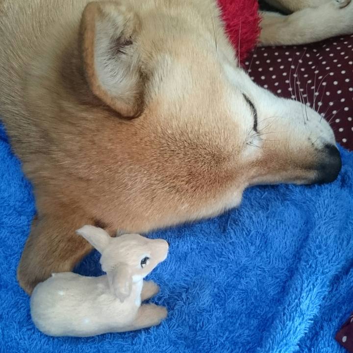 09681e97 88bb 4866 b135 092b78c5218b