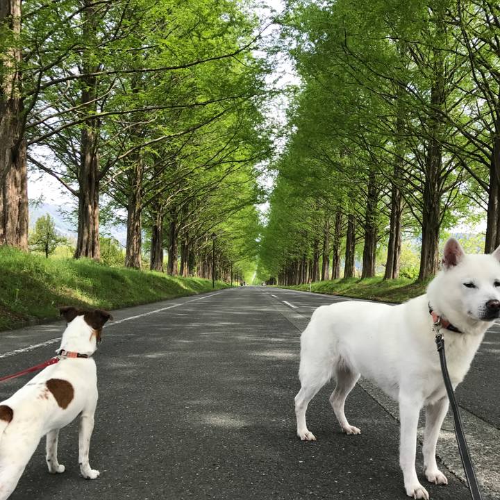 09693562 5ea3 4111 a55a d8ec319a0521