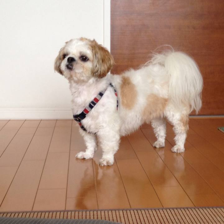 0969af25 fa2d 48d9 96db cddf3e455759