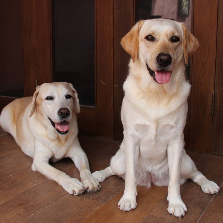 096acaf5 c228 439a 85ba c83b863374a6