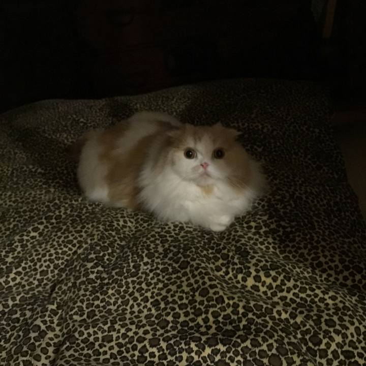 096afbd3 8842 4f0e be9c 233985285c2c