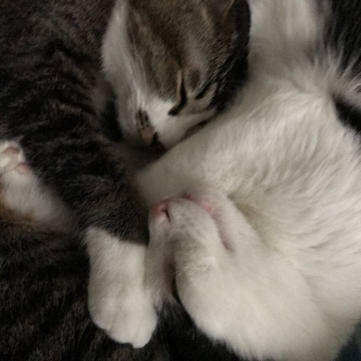 096b16e1 d795 4fa8 8f4c 5ffea0caccd8