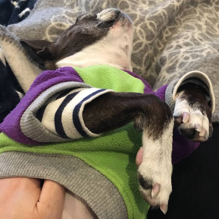 096c96b3 ce2a 4362 9974 2f1e10296f2e