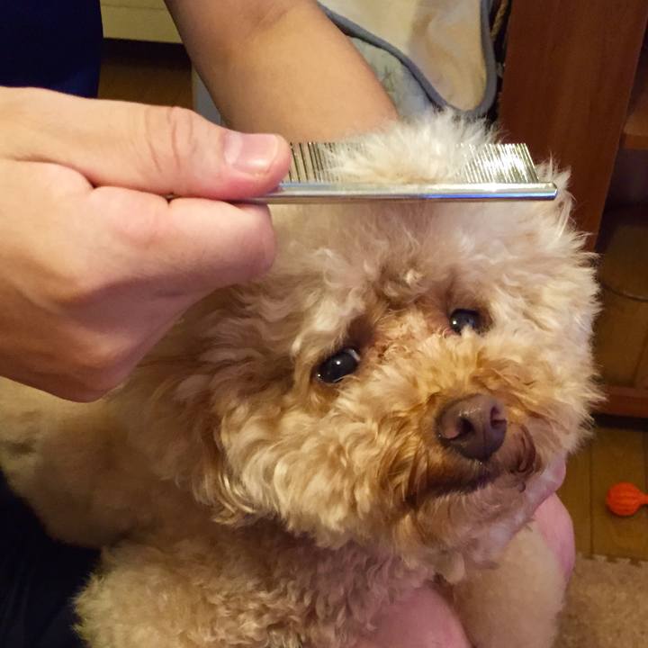 096cd67d 7b9d 4e32 8baf 02e9851beaaf