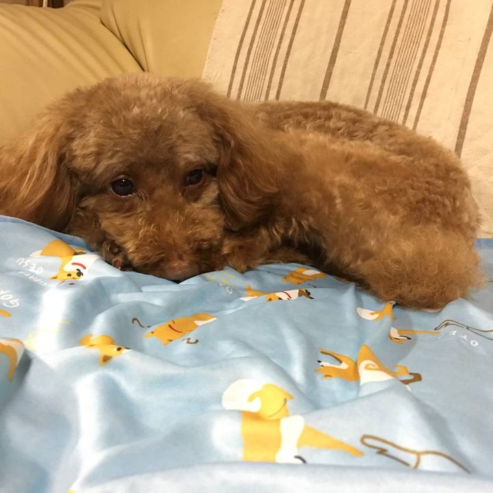 096d3d97 a2d6 4a54 9f9c b918818c816c