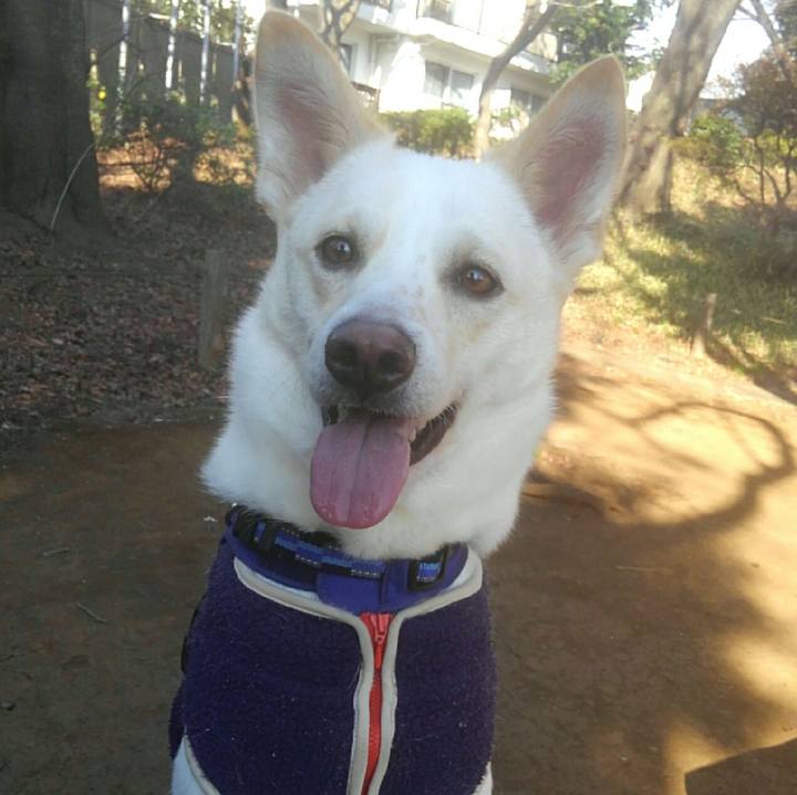 096dc681 2c5d 4226 a85e 8b3d76ed69d8