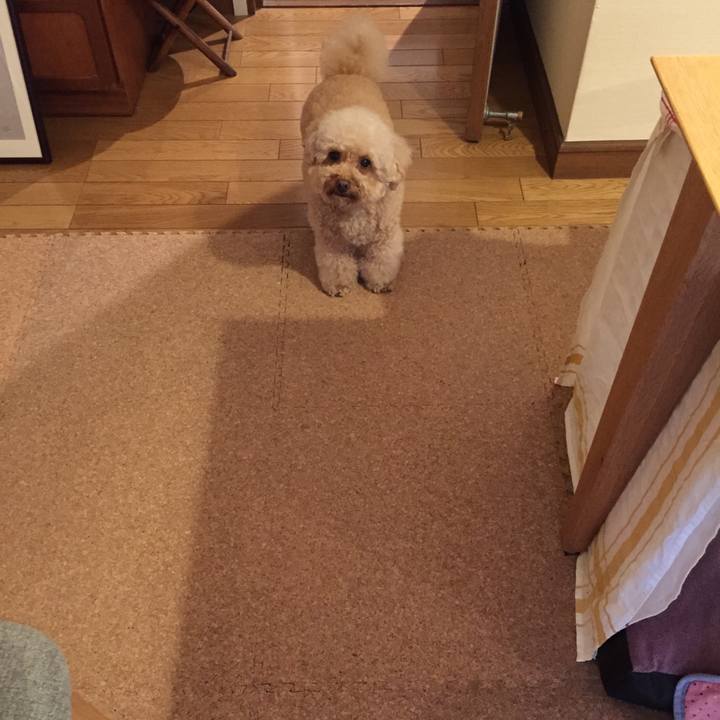 096e073e 2712 40c3 a933 00c87f1aa19c