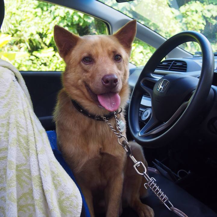 096e14f3 6ab1 4852 8392 09186e723707