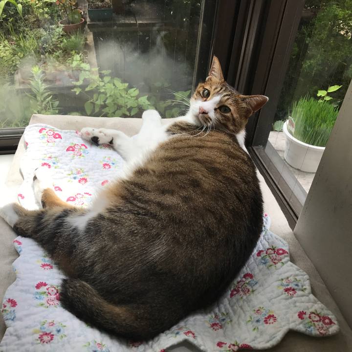 096f2449 faae 4b4a 8a86 8d577b1db42c