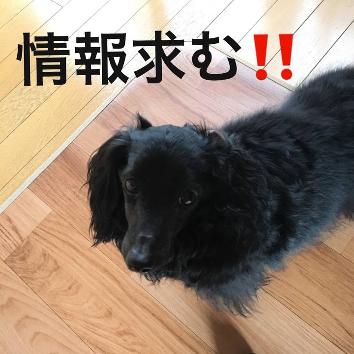 09701a06 c496 459b 85df 00d973f04864