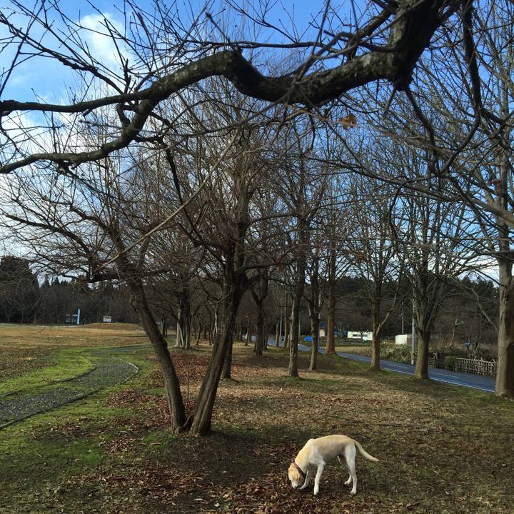 097048d7 dd09 4cce 8b42 1d4498cef80b