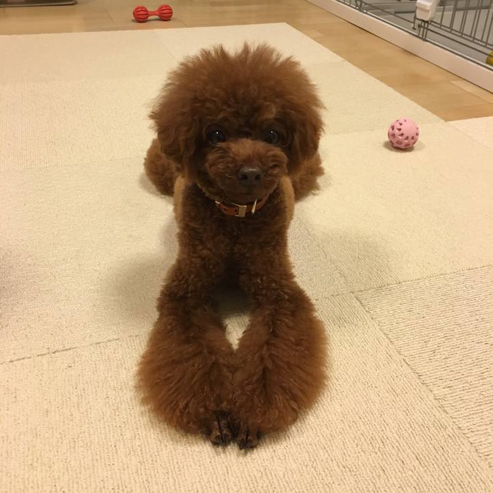 097115be 1bea 4c86 a2e1 2582aefe666b