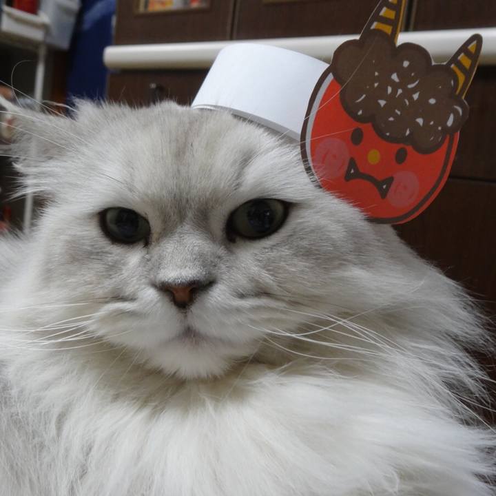 09716b14 8650 48ca 9bf2 aa397680b3b2