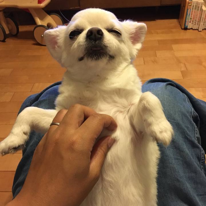 09718ce1 3b77 4d80 af22 55dee2adaf38