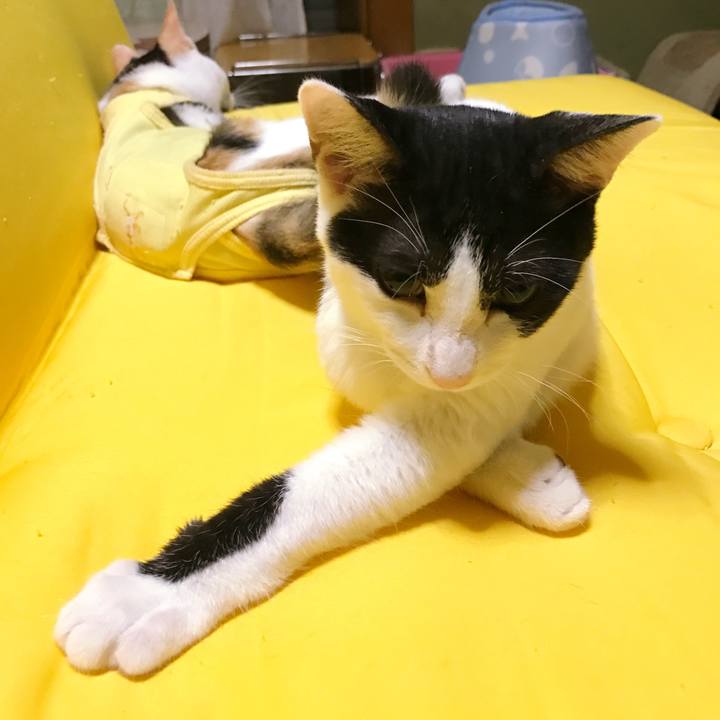 0971c8e8 5d76 4357 a3ba c86ea01a2fdc