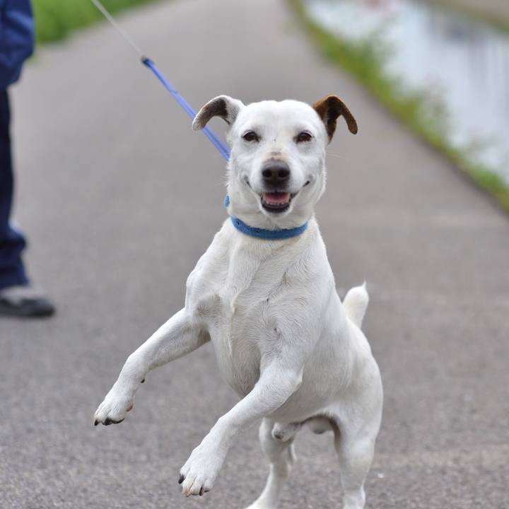 097227c9 205f 40fd b241 d64a1403bc04