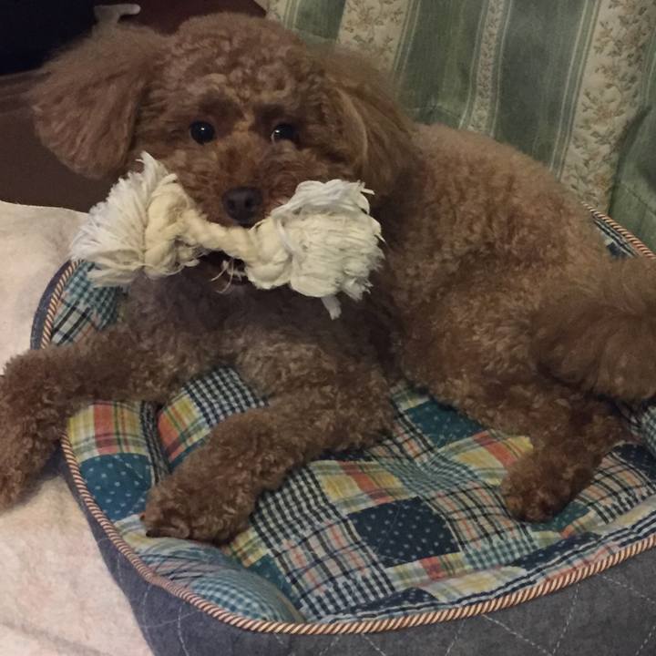 0972bd71 bdd8 48ac 8289 4c13c39619dd