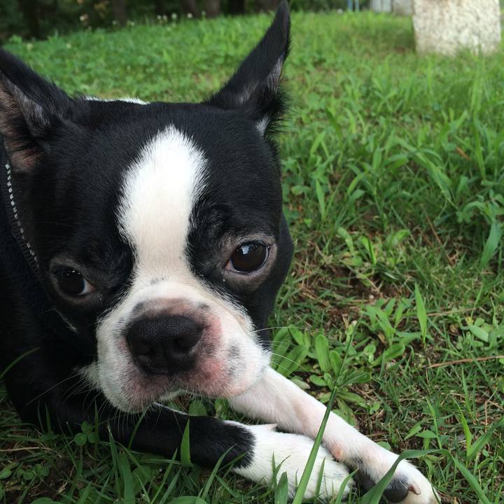 09732e64 2408 4e0f 9485 649a6a410a9d