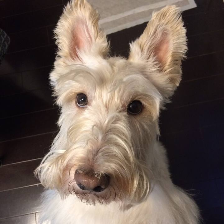 09735715 d16c 478f 9210 ba4eb092005b