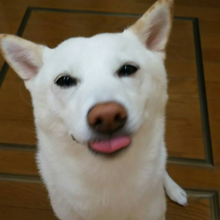 0973d245 f588 4011 9f15 bb3d0ea43687