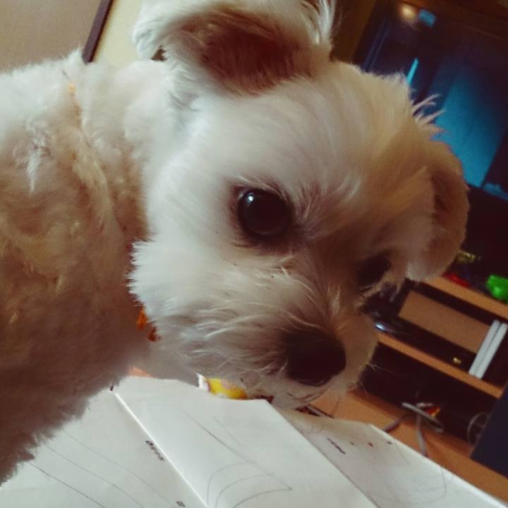 09743c42 0a5c 4bf7 a983 1e365a333351