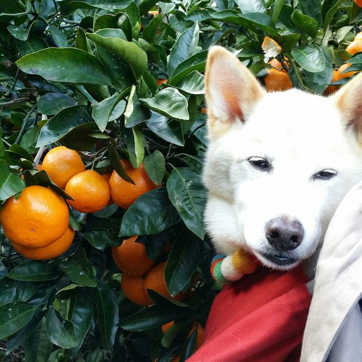 0974cdb6 6313 402f ab16 77ae018c96f5