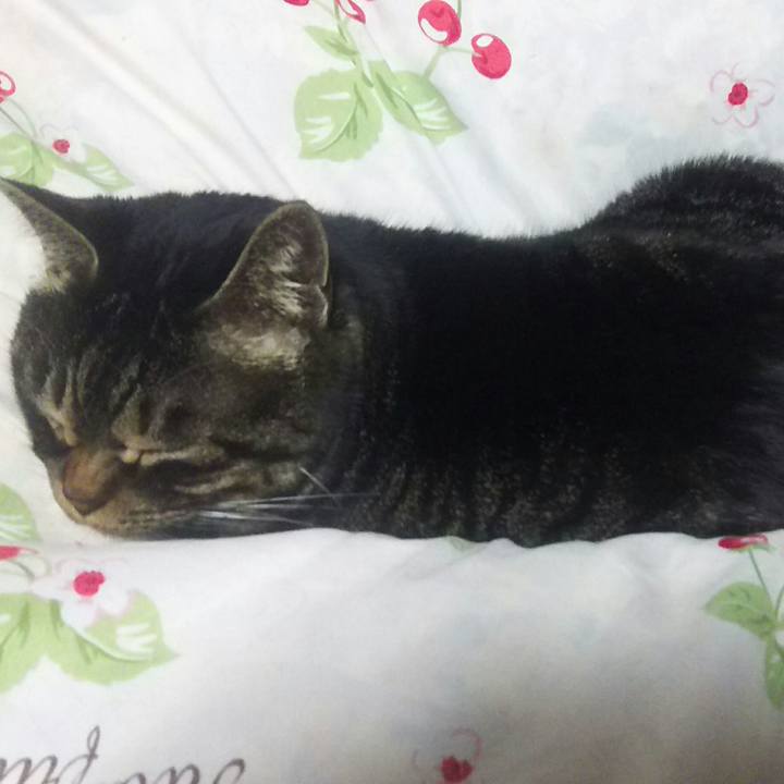 0974ec68 6f66 42dc 9a67 797d4d2a3d36