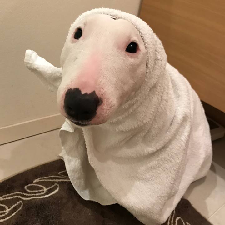 0975031b b354 46b8 8df7 2e1c237fc39d