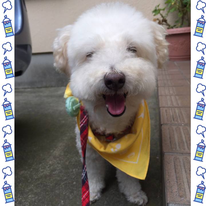 09752a85 8ccc 448c bdb0 f50a3f6f26f3